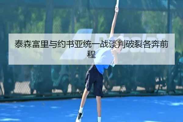 泰森富里与约书亚统一战谈判破裂各奔前程