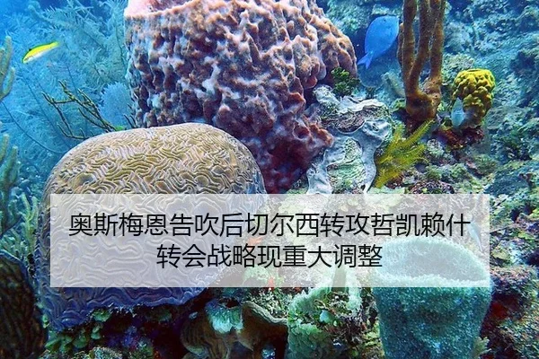 ao-si-mei-en-gao-chui-hou-qie-er-xi-zhuan-gong-zhe-kai-lai-shen-zhuan-hui-zhan-lve-xian-zhong-da-tiao-zheng-2-758.jpg