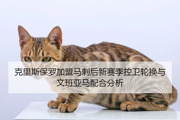 ke-li-si-bao-luo-jia-meng-ma-ci-hou-xin-sai-ji-kong-wei-lun-huan-yu-wen-ban-ya-ma-pei-he-fen-xi-2-610.jpg
