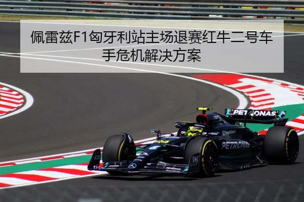 pei-lei-zi-xiong-ya-li-zhan-zhu-chang-tui-sai-hong-niu-er-hao-che-shou-wei-ji-jie-jue-fang-an-3-574.jpg